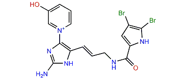 Agelamadin F